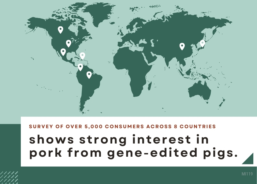 Graphic that shows consumer interest in gene-edited pork is strong in eight countries